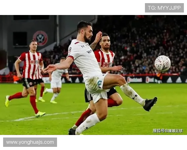 谢菲尔德星期三俱乐部历史辉煌与挑战并存的足球传奇之路